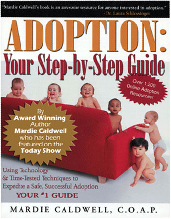adoption step by step guide to open adoption